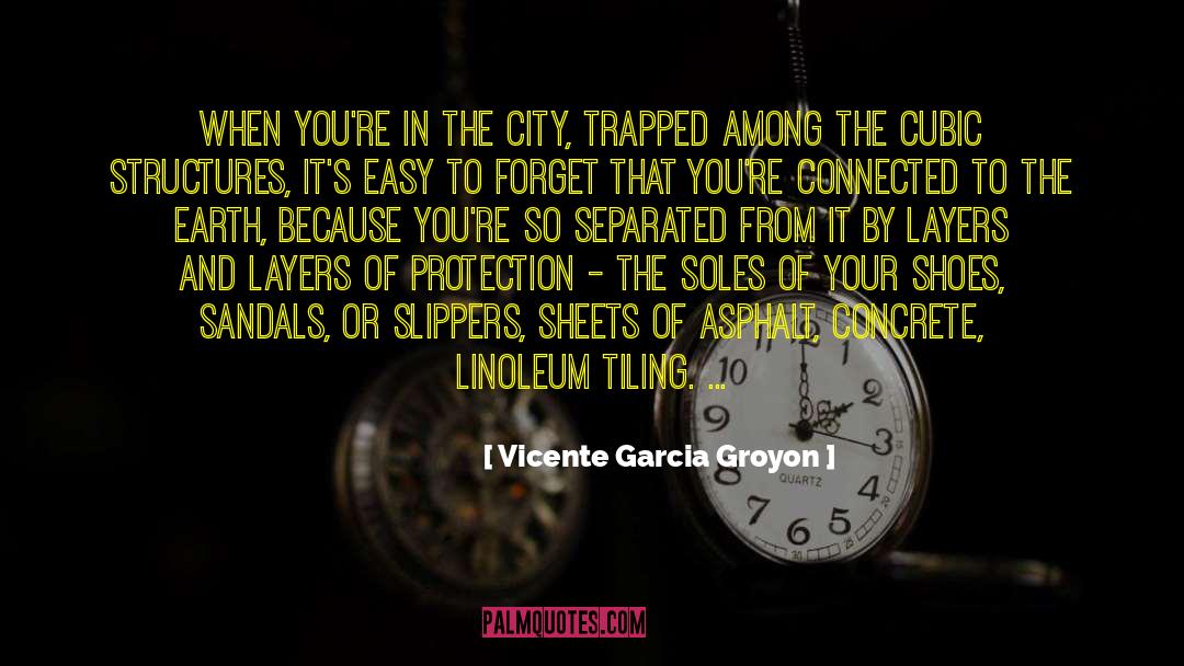 Vicente Garcia Groyon Quotes: When you're in the city,