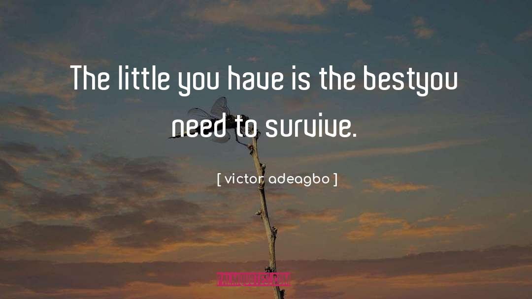 Victor Adeagbo Quotes: The little you have is