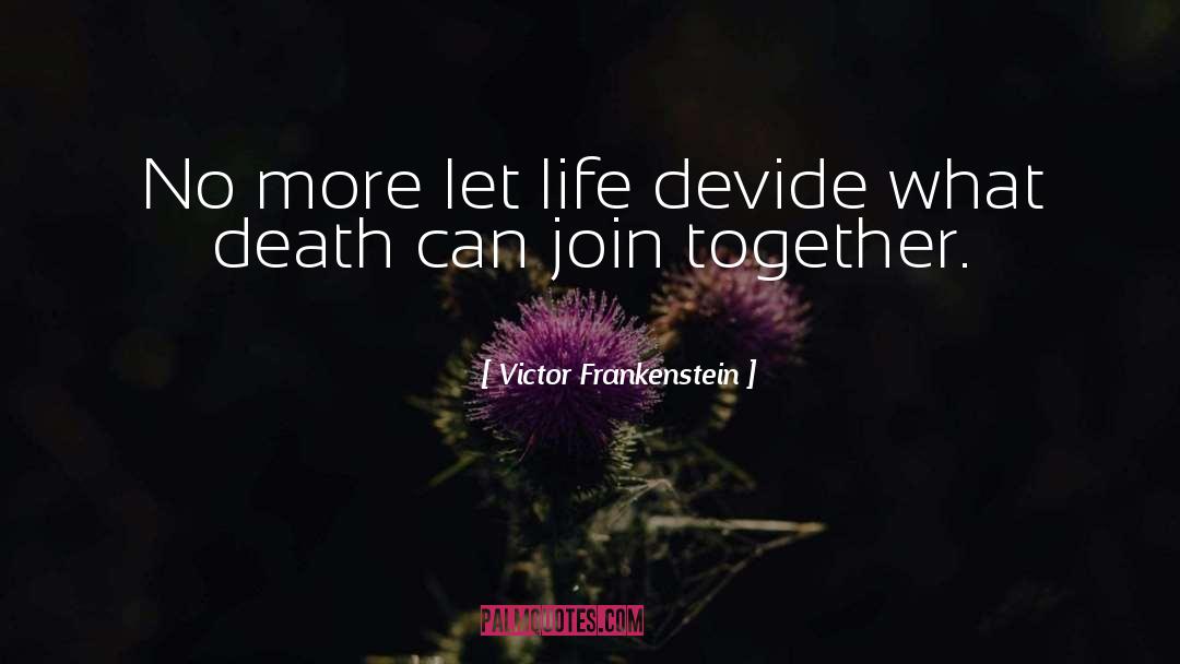 Victor Frankenstein Quotes: No more let life devide