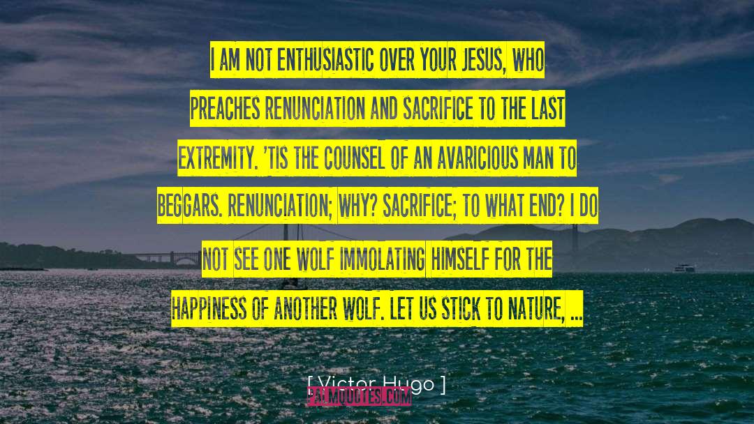 Victor Hugo Quotes: I am not enthusiastic over