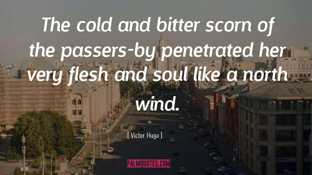 Victor Hugo Quotes: The cold and bitter scorn