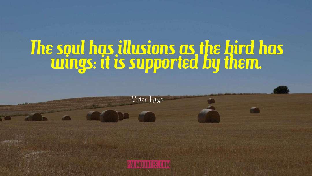 Victor Hugo Quotes: The soul has illusions as