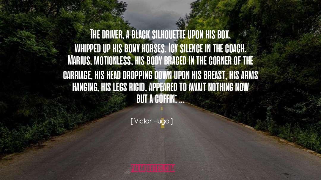 Victor Hugo Quotes: The driver, a black silhouette