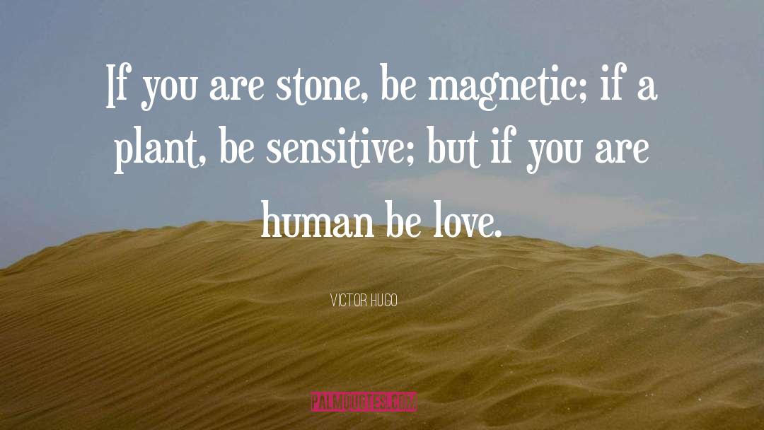 Victor Hugo Quotes: If you are stone, be