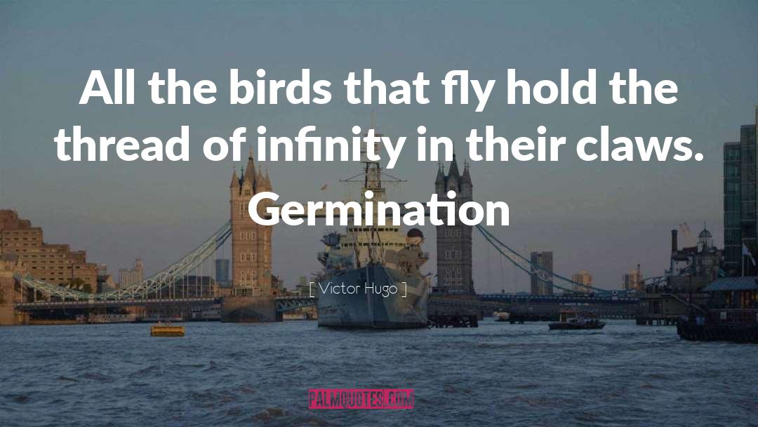 Victor Hugo Quotes: All the birds that fly