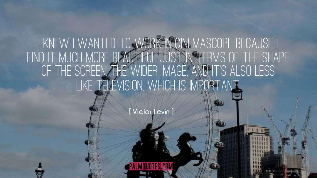 Victor Levin Quotes: I knew I wanted to