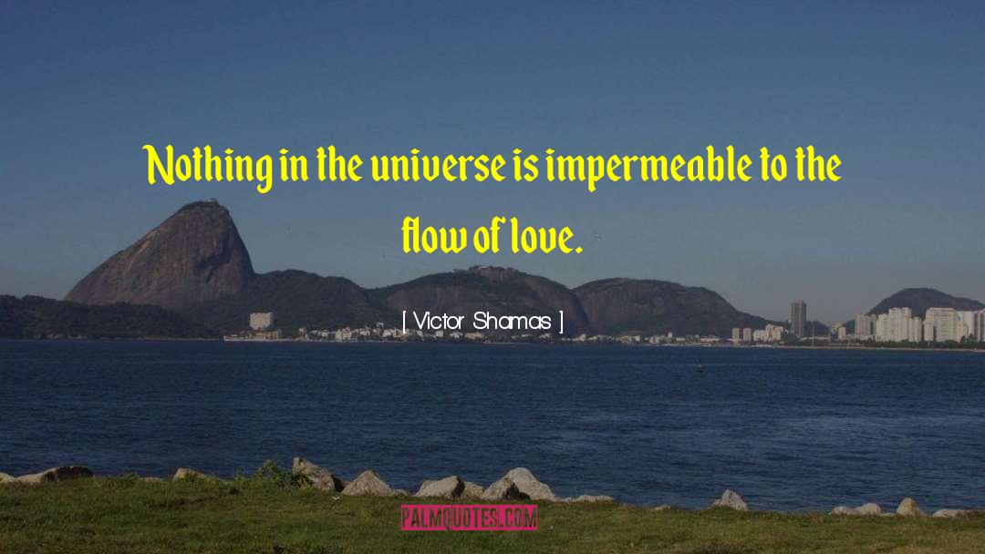 Victor Shamas Quotes: Nothing in the universe is