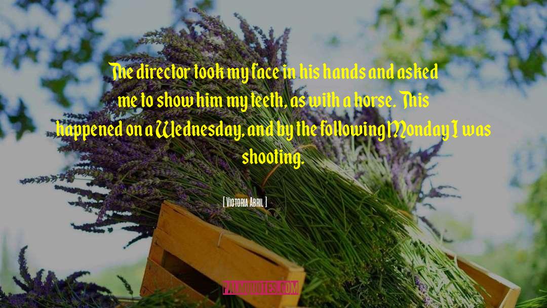 Victoria Abril Quotes: The director took my face