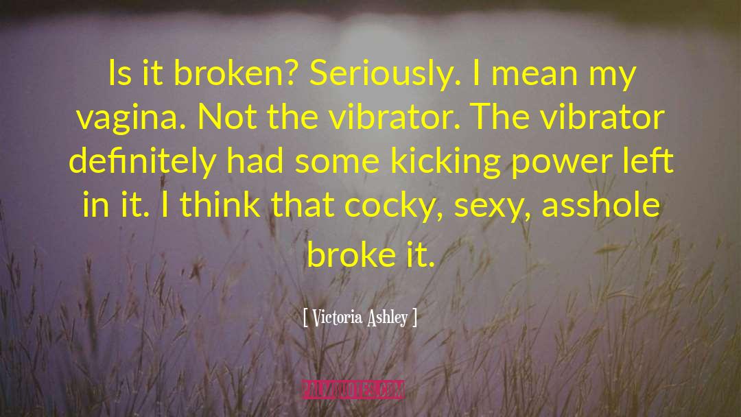 Victoria Ashley Quotes: Is it broken? Seriously. I