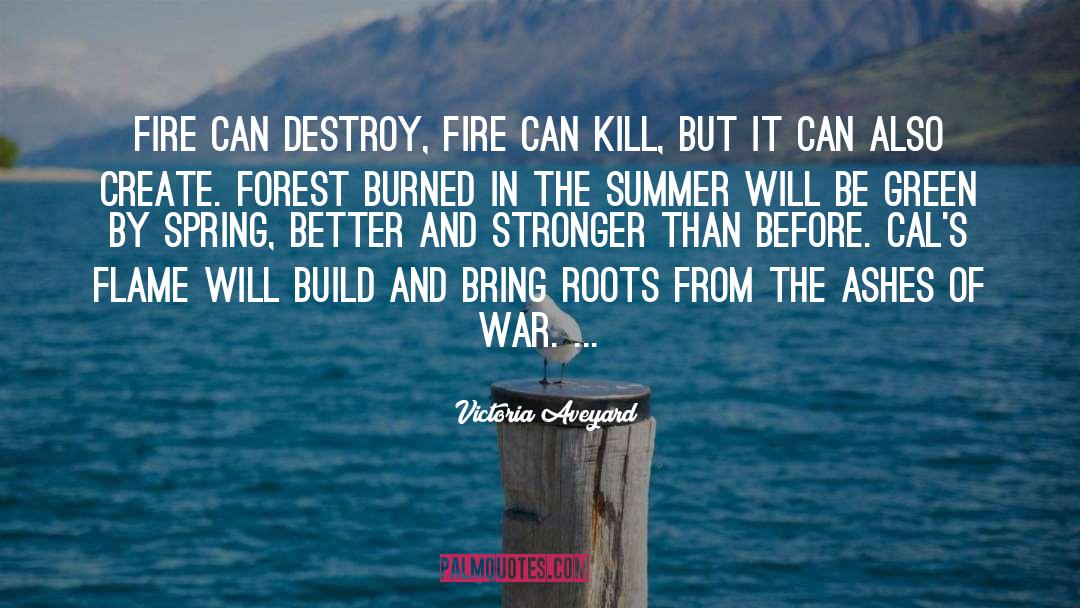 Victoria Aveyard Quotes: Fire can destroy, fire can