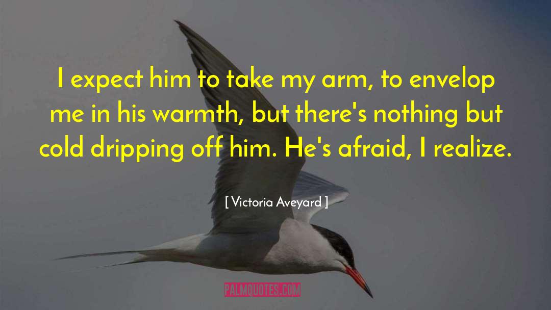 Victoria Aveyard Quotes: I expect him to take