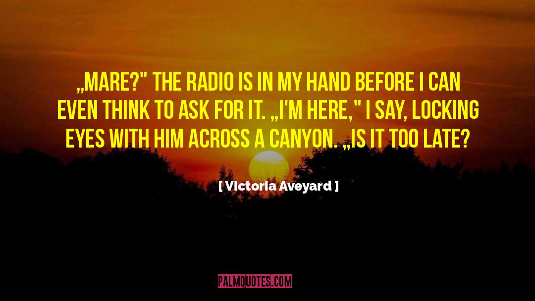 Victoria Aveyard Quotes: „Mare?