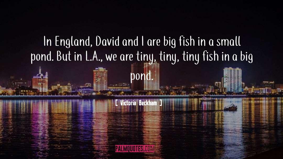 Victoria Beckham Quotes: In England, David and I