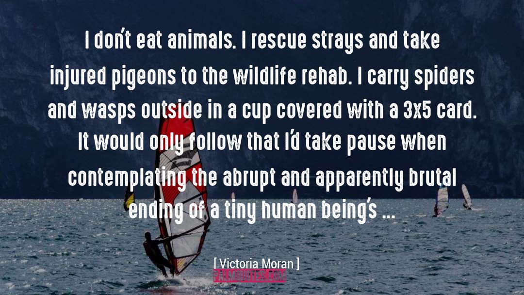 Victoria Moran Quotes: I don't eat animals. I