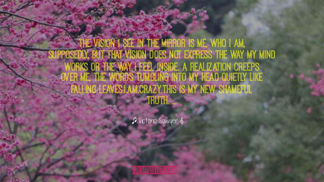 Victoria Sawyer Quotes: The vision I see in