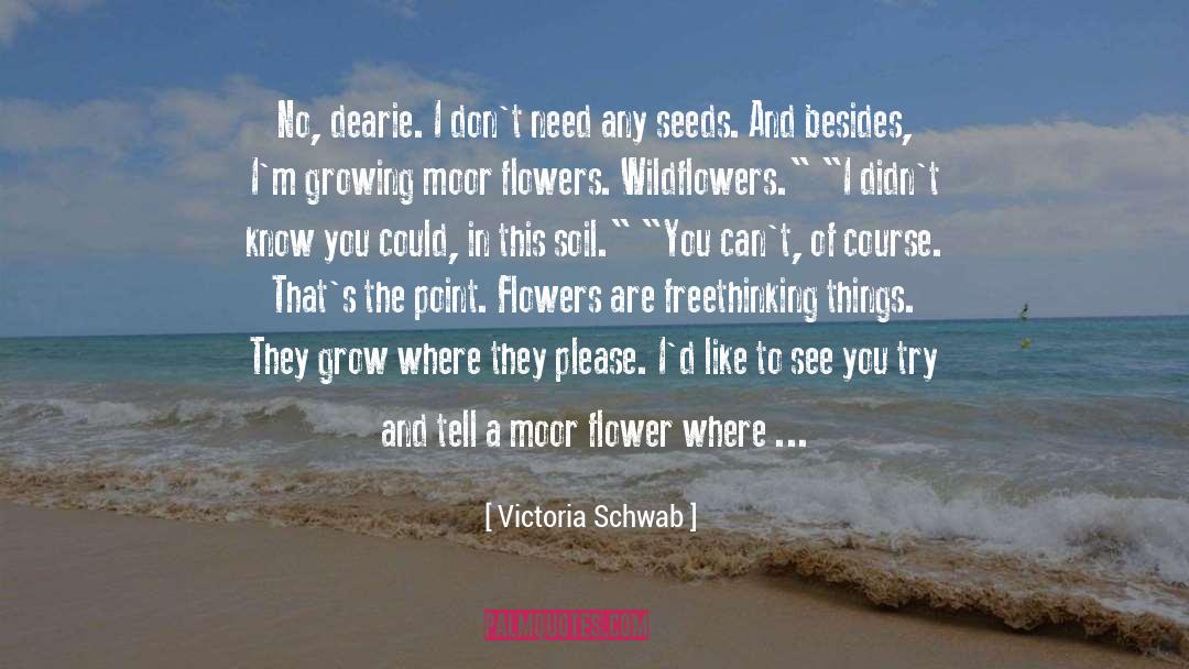 Victoria Schwab Quotes: No, dearie. I don't need