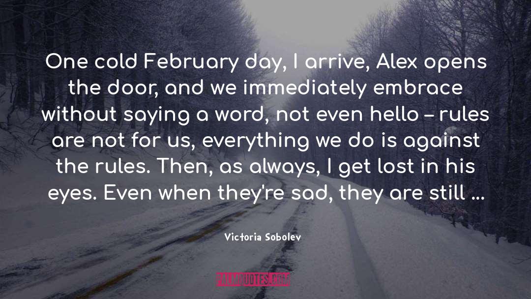 Victoria Sobolev Quotes: One cold February day, I