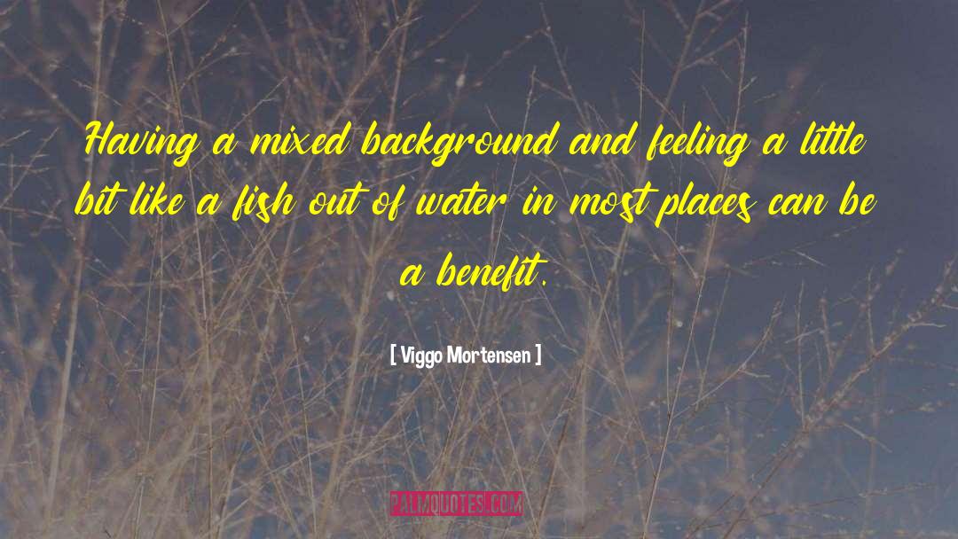 Viggo Mortensen Quotes: Having a mixed background and