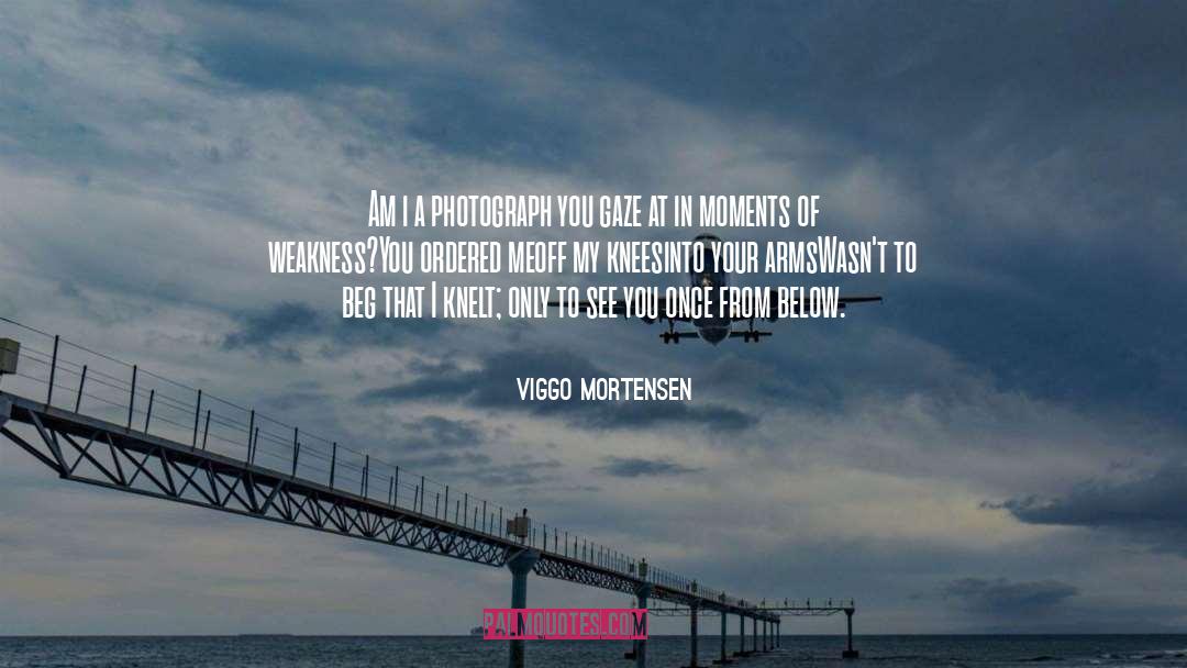 Viggo Mortensen Quotes: Am i a photograph <br