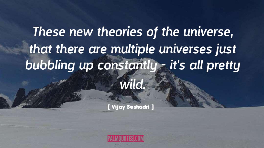 Vijay Seshadri Quotes: These new theories of the