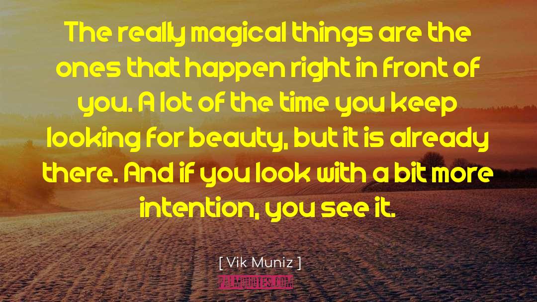 Vik Muniz Quotes: The really magical things are