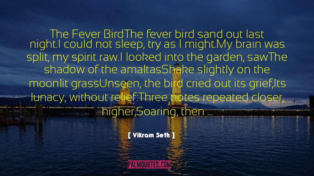 Vikram Seth Quotes: The Fever Bird<br /><br />The