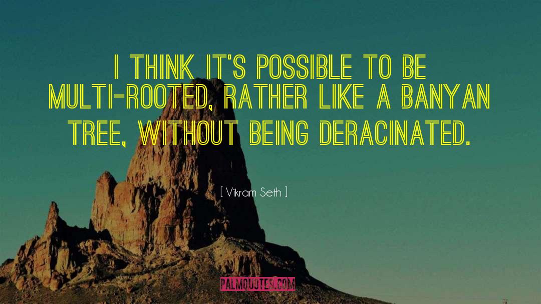 Vikram Seth Quotes: I think it's possible to