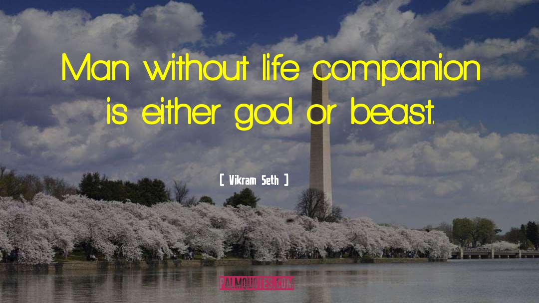 Vikram Seth Quotes: Man without life companion is