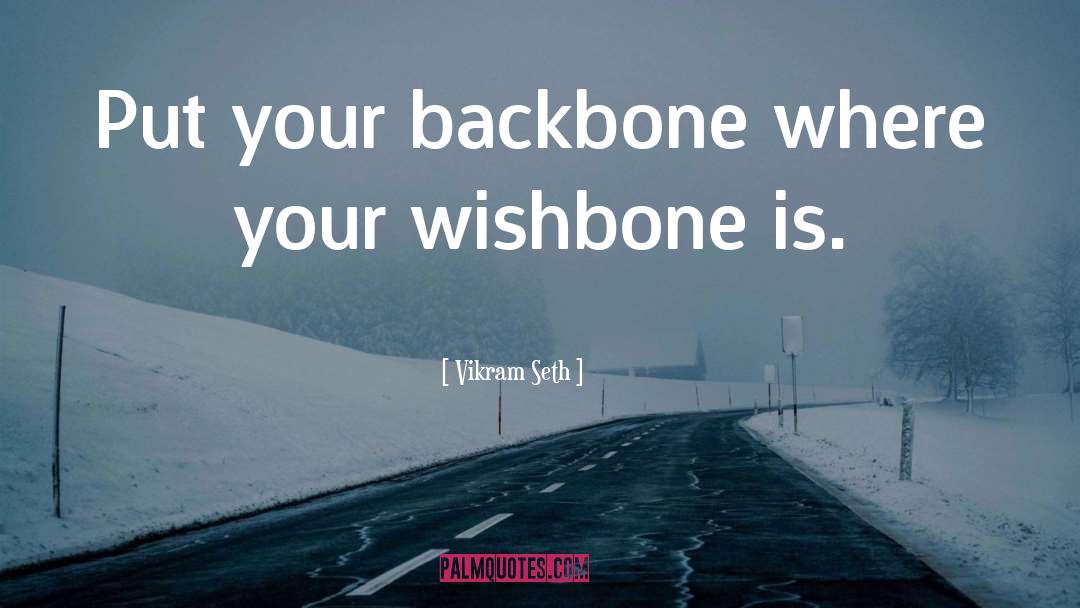 Vikram Seth Quotes: Put your backbone where your