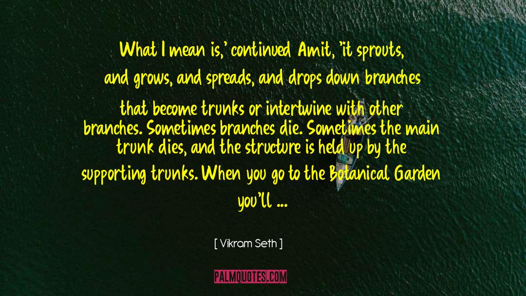 Vikram Seth Quotes: What I mean is,' continued