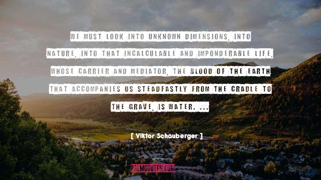 Viktor Schauberger Quotes: We must look into unknown