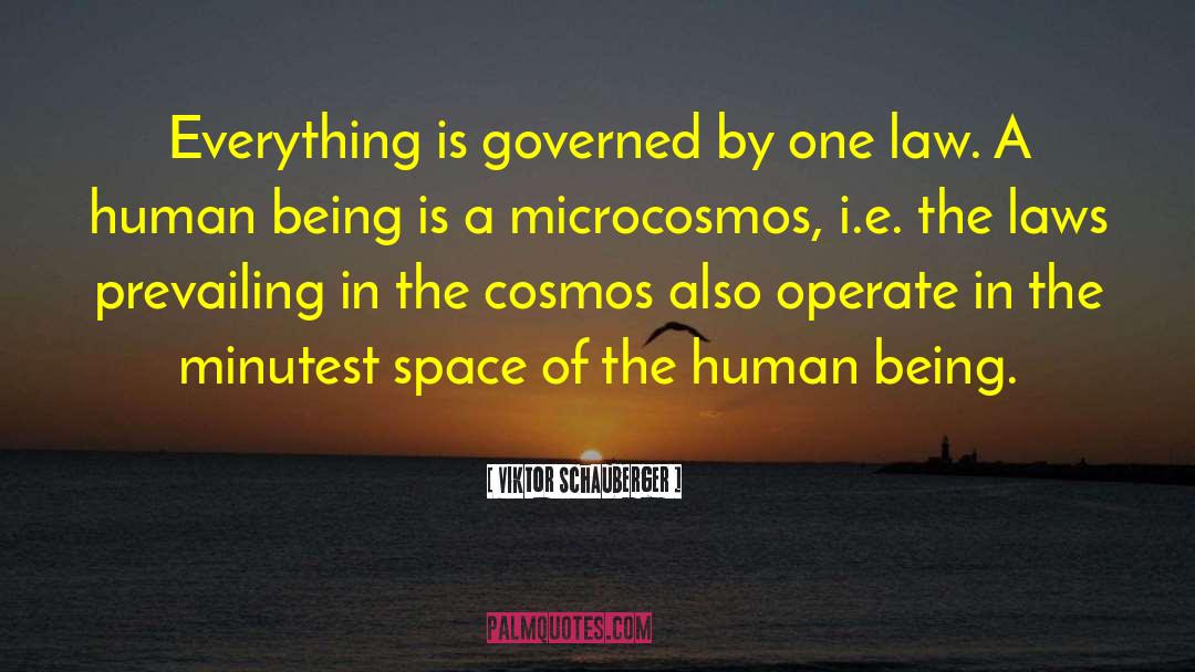 Viktor Schauberger Quotes: Everything is governed by one