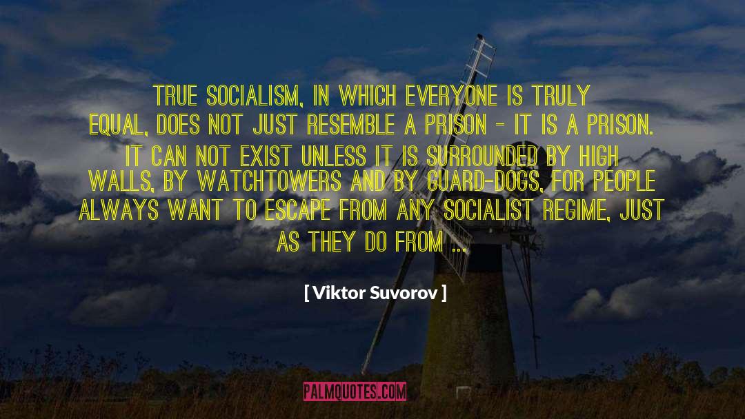 Viktor Suvorov Quotes: True Socialism, in which everyone