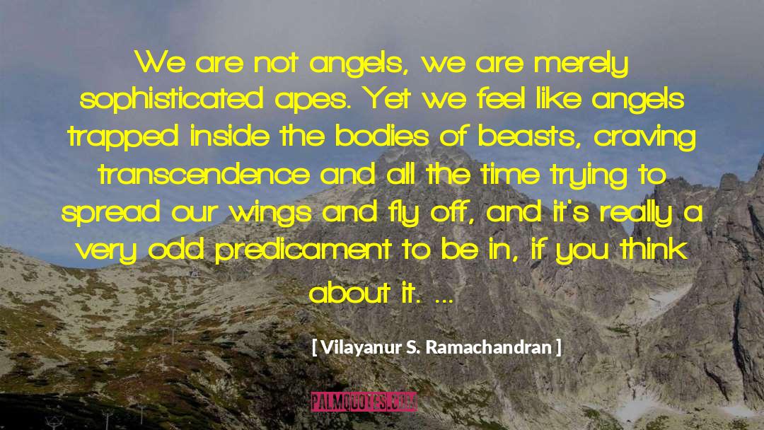 Vilayanur S. Ramachandran Quotes: We are not angels, we