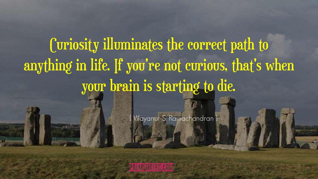 Vilayanur S. Ramachandran Quotes: Curiosity illuminates the correct path