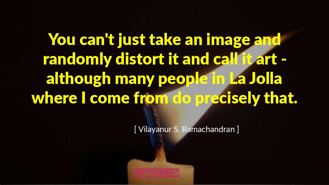 Vilayanur S. Ramachandran Quotes: You can't just take an