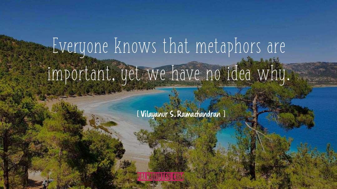 Vilayanur S. Ramachandran Quotes: Everyone knows that metaphors are