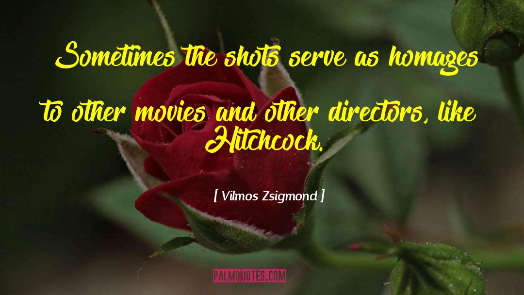 Vilmos Zsigmond Quotes: Sometimes the shots serve as