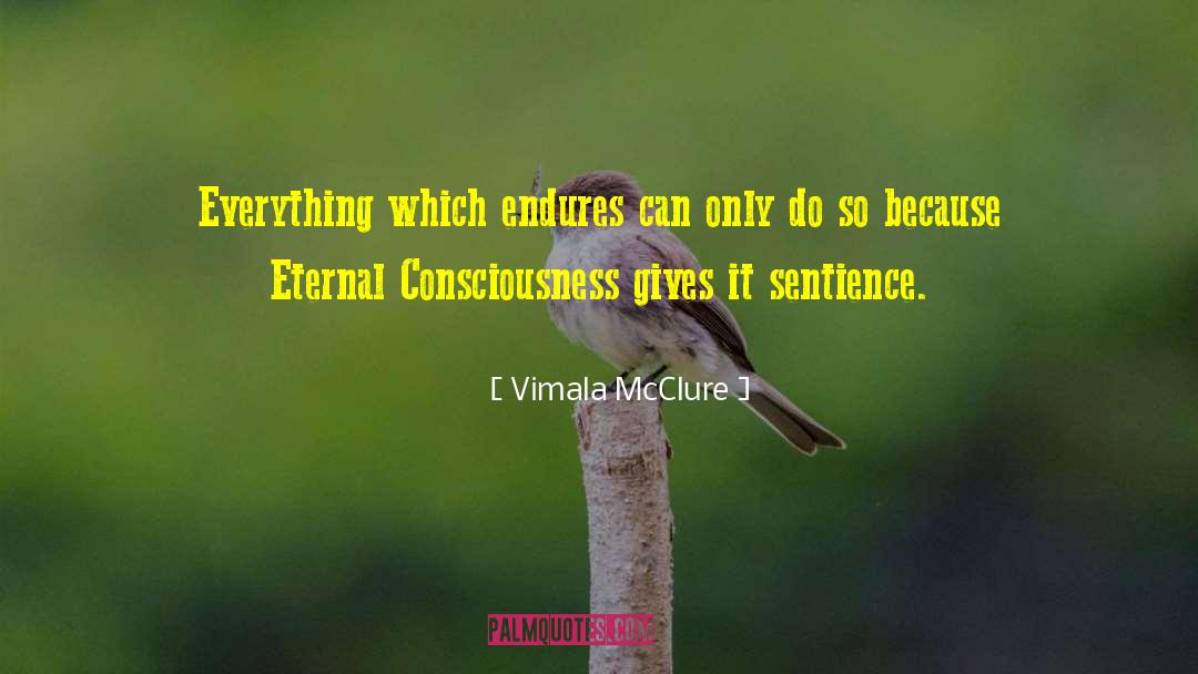 Vimala McClure Quotes: Everything which endures can <br