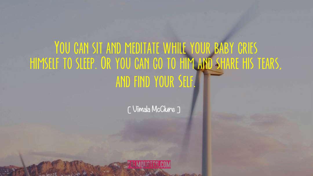 Vimala McClure Quotes: You can sit and meditate