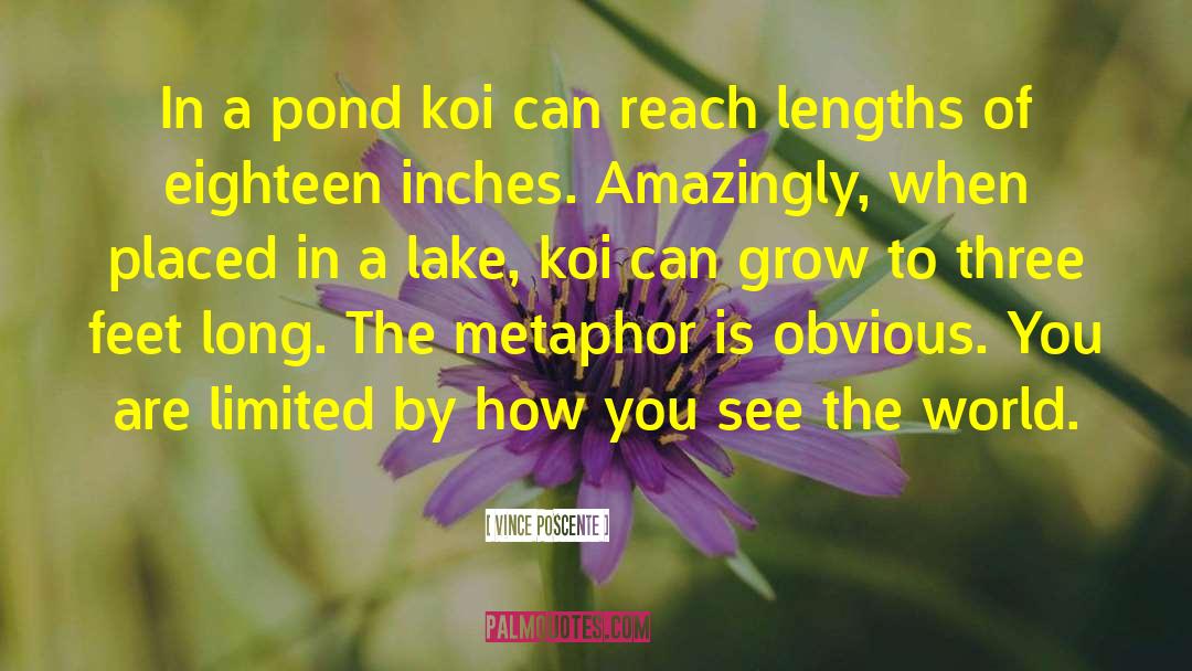 Vince Poscente Quotes: In a pond koi can