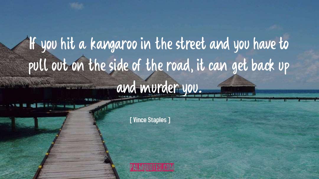 Vince Staples Quotes: If you hit a kangaroo