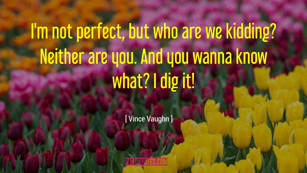 Vince Vaughn Quotes: I'm not perfect, but who