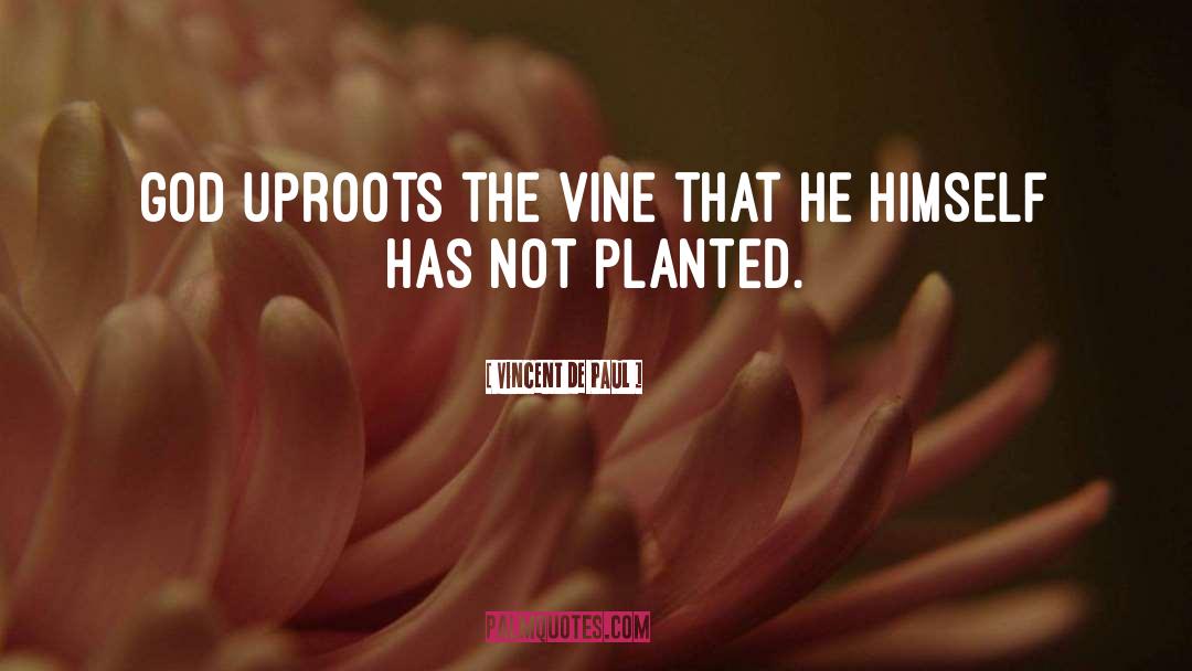 Vincent De Paul Quotes: God uproots the vine that