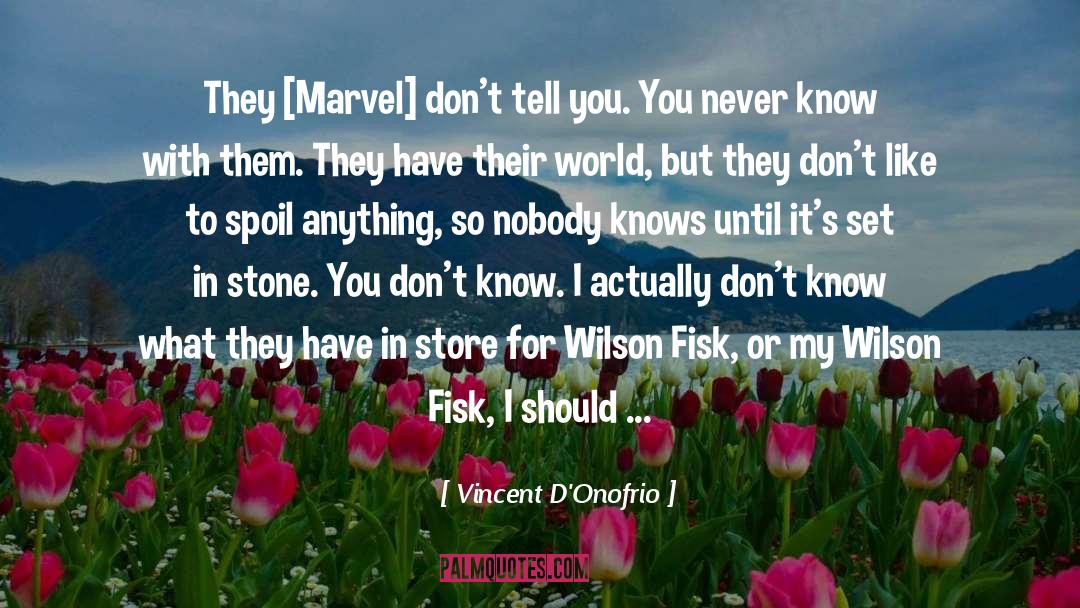 Vincent D'Onofrio Quotes: They [Marvel] don't tell you.