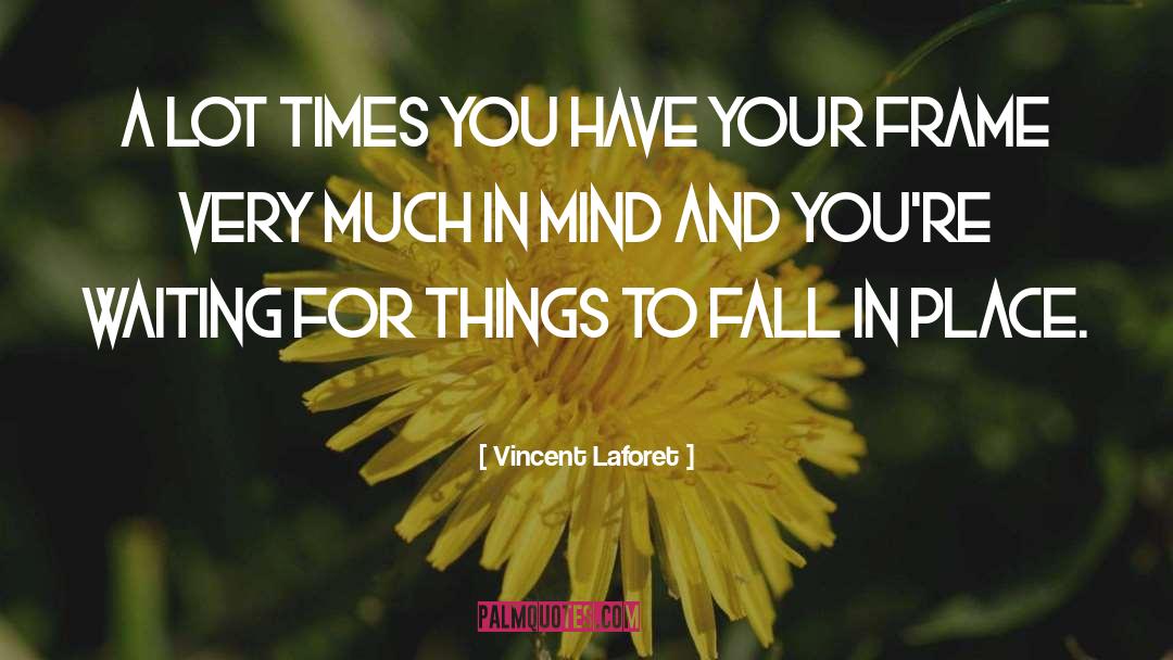 Vincent Laforet Quotes: A lot times you have