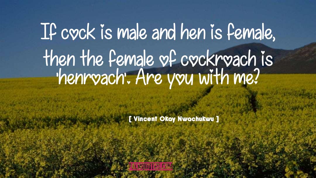 Vincent Okay Nwachukwu Quotes: If cock is male and