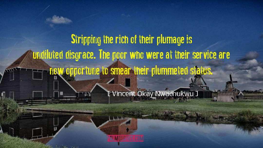 Vincent Okay Nwachukwu Quotes: Stripping the rich of their