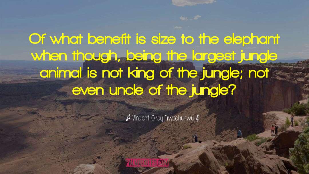 Vincent Okay Nwachukwu Quotes: Of what benefit is size