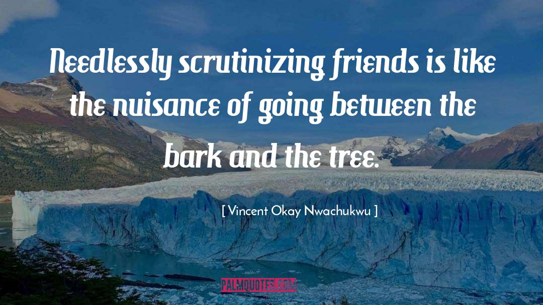 Vincent Okay Nwachukwu Quotes: Needlessly scrutinizing friends is like
